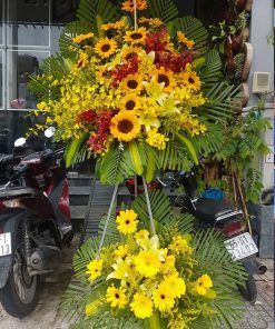 VƯƠN LÊN TÂM CAO MỚI