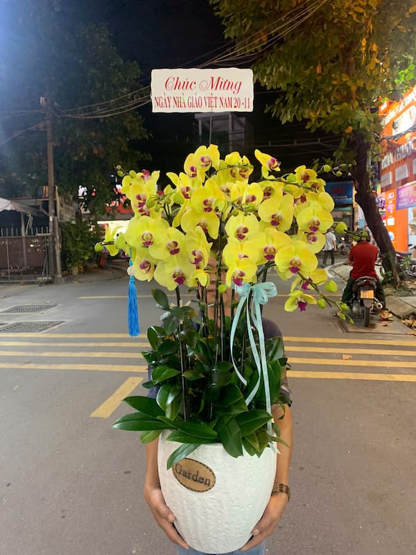 Shop Hoa Lan Hồ Điệp Long Khánh 