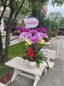 Shop Hoa Lan Hồ Điệp Trảng Bom