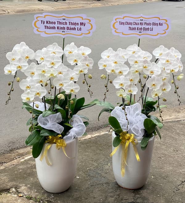 Shop Trái Cây Nhập Khẩu Định Quán 