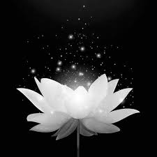 Avatar Ảnh Tang Lễ Đen